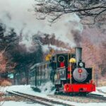 Tierra del Fuego: National Park & End of the World Train - An In-Depth Look at the Tierra del Fuego Tour Experience