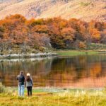 Tierra del Fuego National Park PM - with Dinner included - Detailed Breakdown of the Itinerary