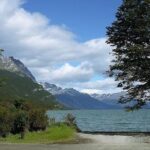 Tierra del Fuego National Park - USHUAIA (Shared tour) - What Travelers Say About the Tour