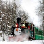 Tierra del Fuego National Park with the End of the World Train - In-Depth Review of the Experience