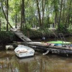 Tigre Delta Sightseeing Cruise from Buenos Aires - The Experience in Detail: What to Expect from the Tigre Delta Cruise