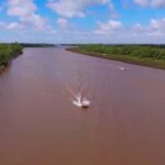 Tigre: Safari Náutico en Tigre/ Biosphere Reserve Boat Tour - What to Expect During the Tour