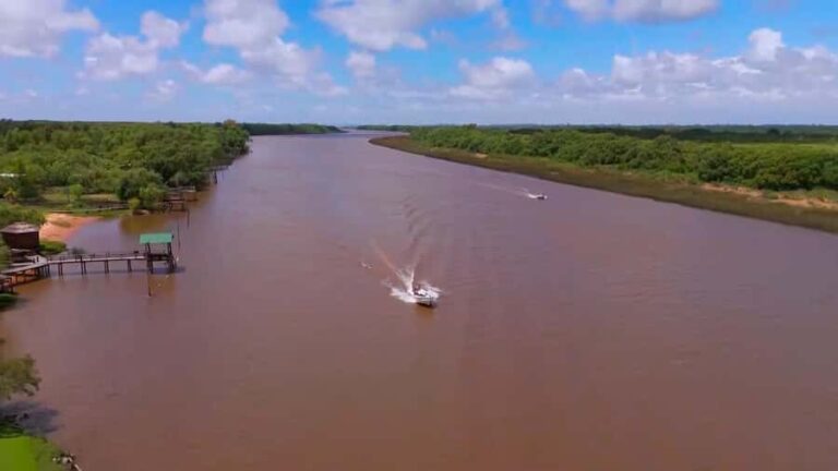 Tigre: Safari Náutico en Tigre/ Biosphere Reserve Boat Tour - What to Expect During the Tour