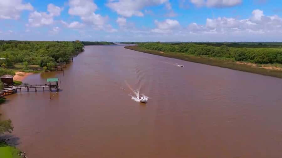 Tigre: Safari Náutico en Tigre/ Biosphere Reserve Boat Tour - What to Expect During the Tour