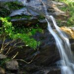 Tijuca Forest + Botanic Garden + Lage Park - by Alan Denis - Who Should Consider This Tour?