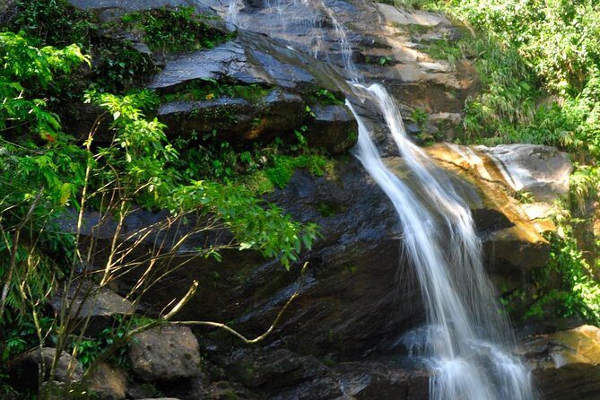 Tijuca Forest + Botanic Garden + Lage Park - by Alan Denis - Who Should Consider This Tour?