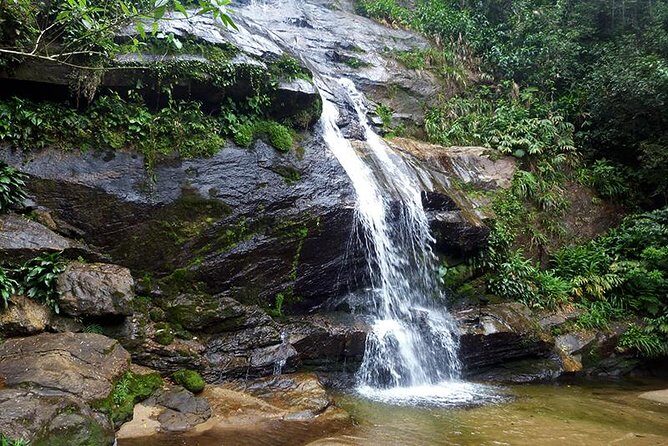Tijuca Forest Hiking Tour including Waterfalls - A Deep Dive into the Tijuca Forest Waterfalls Tour
