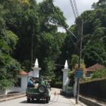 Tijuca Forest Jeep Tour - In-Depth Look at the Tijuca Forest Jeep Tour