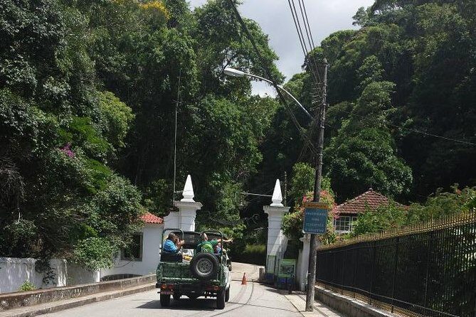 Tijuca Forest Jeep Tour - In-Depth Look at the Tijuca Forest Jeep Tour