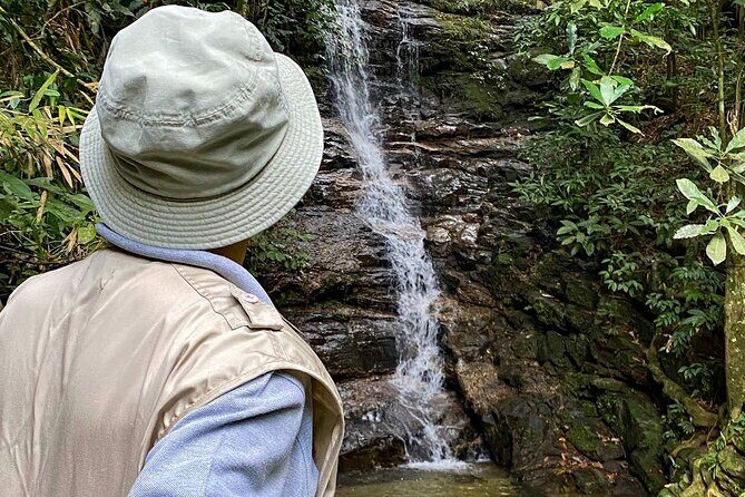 Tijuca Forest: Tour with Waterfalls and Caves - FAQ