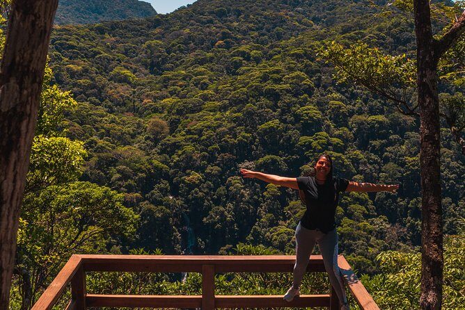 Tijuca Forest Trail - specialized guide and photos - Who Should Consider This Tour?