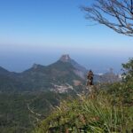 Tijuca Peak Hiking Tour & Taunay Waterfall - Rio de Janeiro - Who Should Consider This Tour?