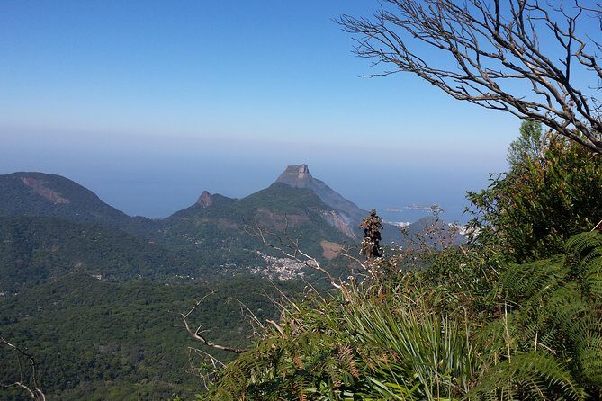 Tijuca Peak Hiking Tour & Taunay Waterfall - Rio de Janeiro - Who Should Consider This Tour?