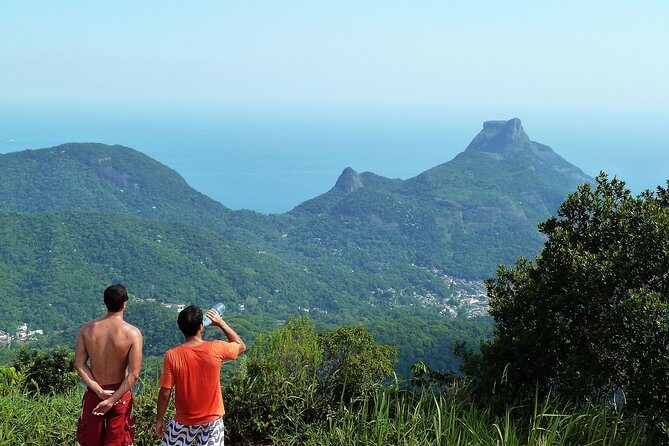 Tijuca Rainforest Hiking Tour in Rio de Janeiro - Who Should Book This Tour?