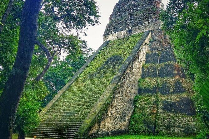 Tikal Day Tour From San Ignacio Belize - Who Is This Tour Best For?