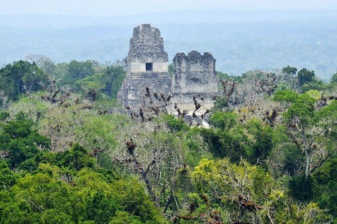 Tikal Day Trip by Air from Guatemala City with Lunch - Frequently Asked Questions