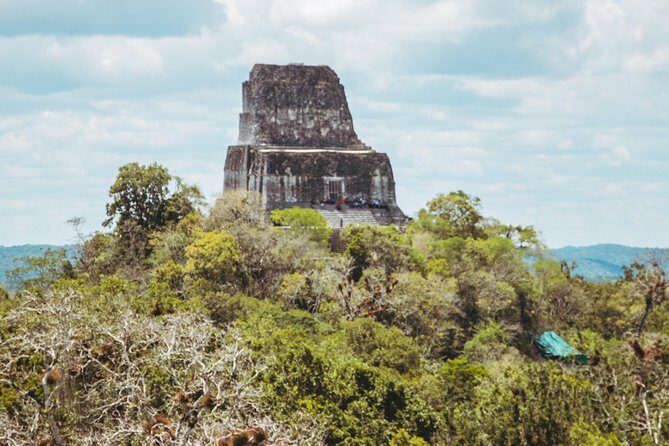 Tikal Exclusive Tour - Exploring Tikal: What You Can Expect