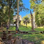 Tikal From Flores: With Transportation Lunch and Local Guide - Why This Tour Works Well