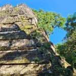 Tikal From Guatemala - A Complete Look at the Tikal Day Trip