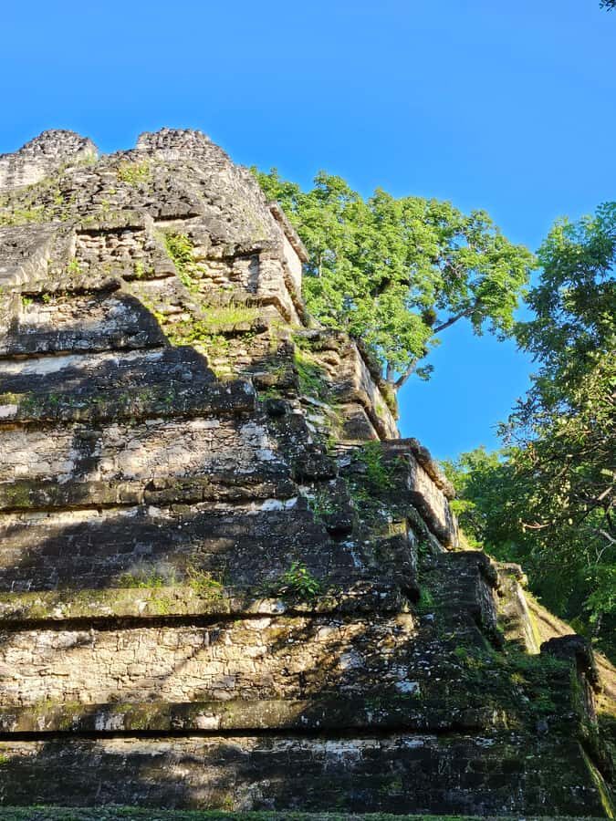 Tikal From Guatemala - A Complete Look at the Tikal Day Trip