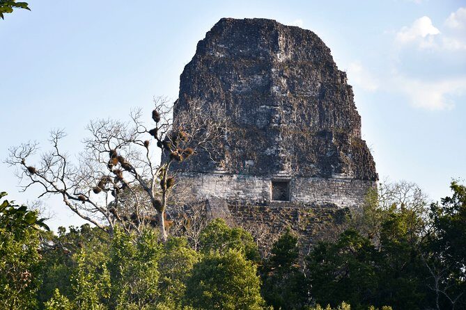 Tikal Full-Day Group Tour - FAQs
