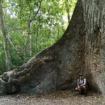 Tikal Full Day with Dedicated Exploration of the Archaeological Monuments. - Who Is This Tour Best For?