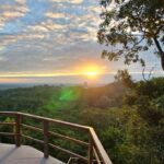 Tikal Group Tour Transportation, Guide plus Lunch - Authenticity and Natural Encounters