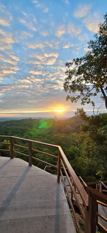 Tikal Group Tour Transportation, Guide plus Lunch - Authenticity and Natural Encounters