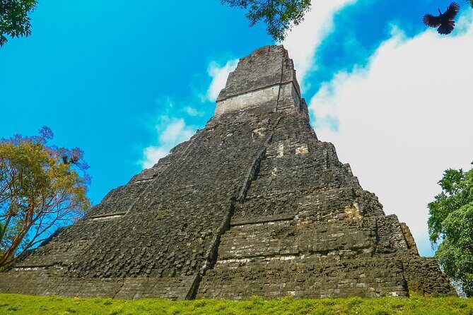 Tikal Maya Temple tour from San Ignacio with sit down lunch - Why This Tour Works
