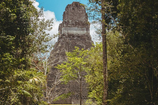 Tikal National Park Full-Day Guided Tour from Flores - The Complete Tikal Experience: A Detailed Look