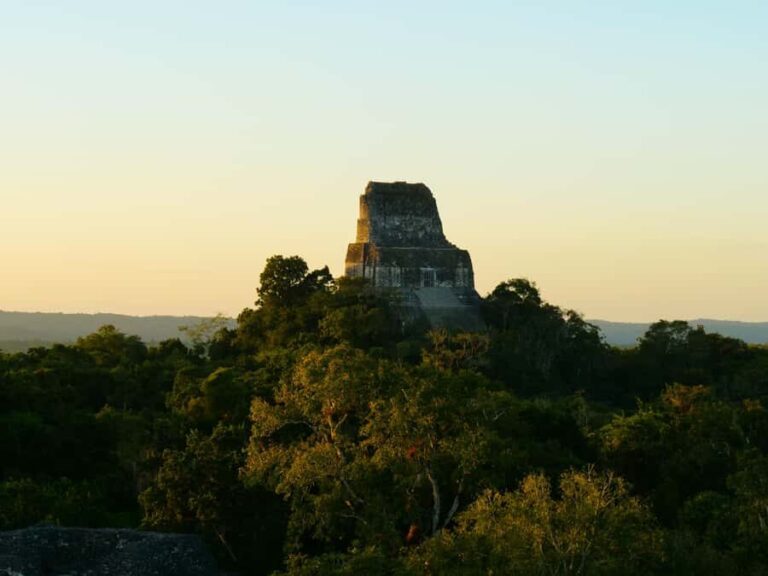 Tikal Privade Tour all included - A Closer Look at the Tikal Private Tour