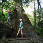 Tikal Sunrise, Archeological focus and Wildlife Spotting - Who Will Love This Tour?