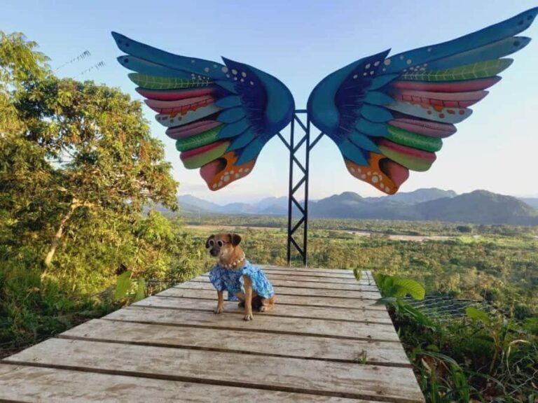 Tingo María: Boating on Laguna Milagros - Miracles Lagoon - Arrival at Caserío el Milagro and a Gentle Walk