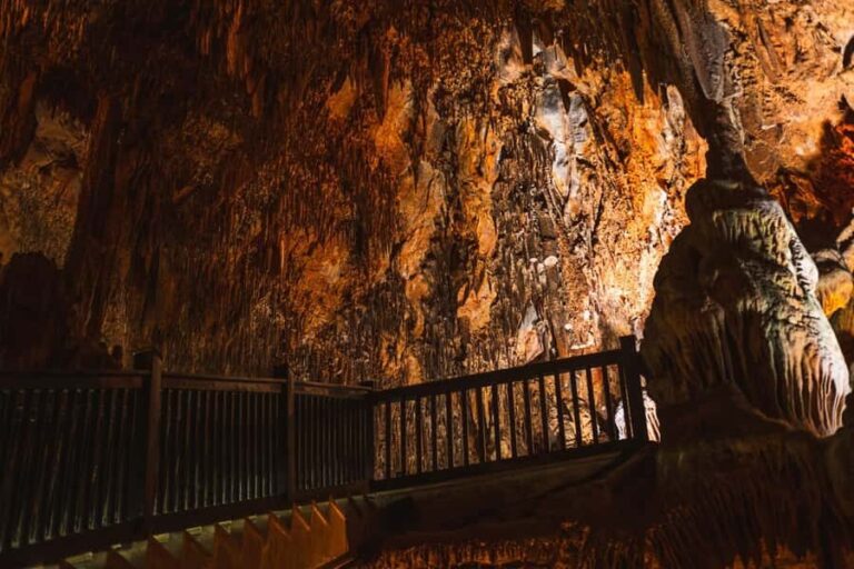 Tingo Maria: Mantle Cave - Key Points