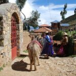 Titikaka Lake & Sun Island - 2 Days - Private Service - English Speaking Guide - Final Thoughts: Who Should Consider This Tour?