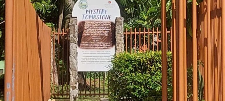 Tobago: Caribbean Coast Tour with Waterfall Swim - Beach Walks and Village Vibes