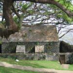 Tobago: Half-Day Highlights Tour - Final Thoughts: Who Will Love This Tour?