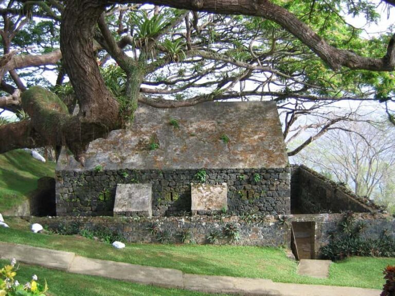 Tobago: Half-Day Highlights Tour - Final Thoughts: Who Will Love This Tour?