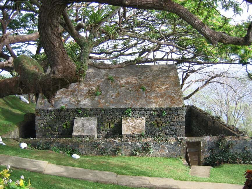 Tobago: Half-Day Highlights Tour - Final Thoughts: Who Will Love This Tour?