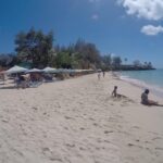 Tobago Island Tour - Who Will Love This Tour?