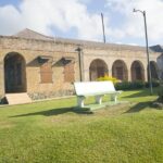 Tobago Island Tour - Detailed Review of the Experience