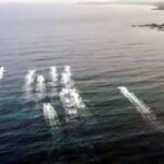 Tobago: Jet Ski Safari to Castara Bay with Local Guide - Final Thoughts