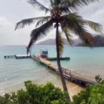 Tobago: Little Tobago Bird Sanctuary Visit and Boat Tour - A Deep Dive into the Tobago Adventure