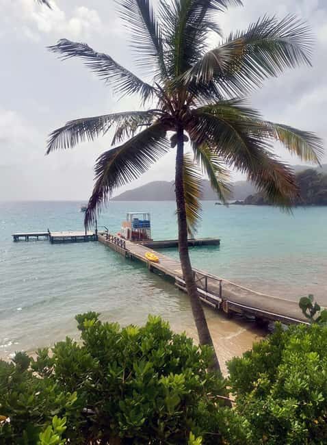 Tobago: Little Tobago Bird Sanctuary Visit and Boat Tour