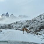 Torres del Paine 3-Day Private Tour - Who Will Love This Tour?