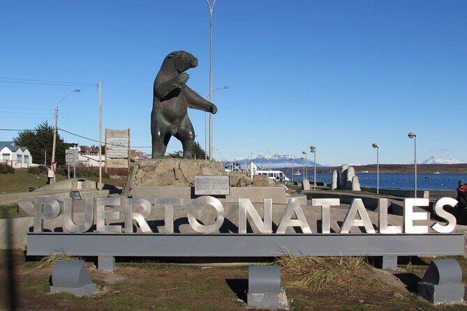 Torres Del Paine and Milodon Cave Full Day Tour - In-Depth Review of the Tour Experience