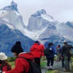 Torres del Paine Day Trip from El Calafate - Day in the Park: What to Expect
