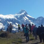 Torres del Paine Tour from Punta Arenas - What Makes This Tour Stand Out?