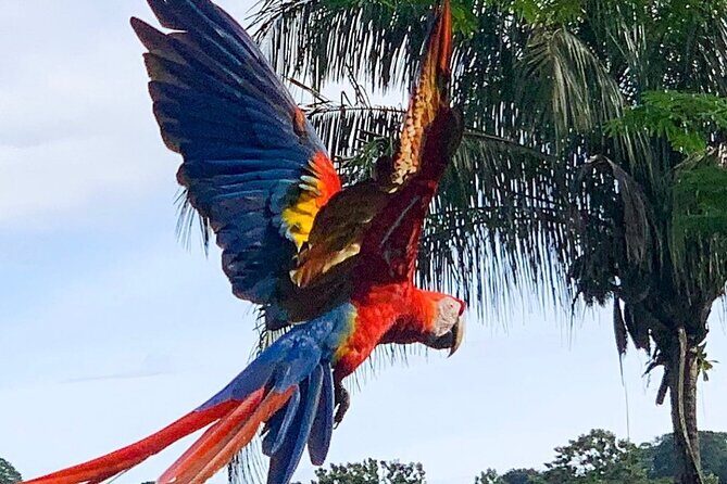 Tortuga Island Adventure White Sand Paradise Day Trip - The Full Experience: A Closer Look at the Tortuga Island Day Trip