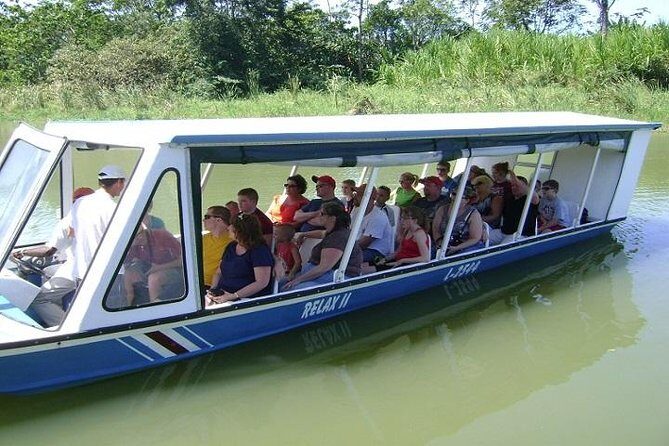 Tortuguero Canal Boat Tour: From Puerto Limon - Who Will Love This Tour?